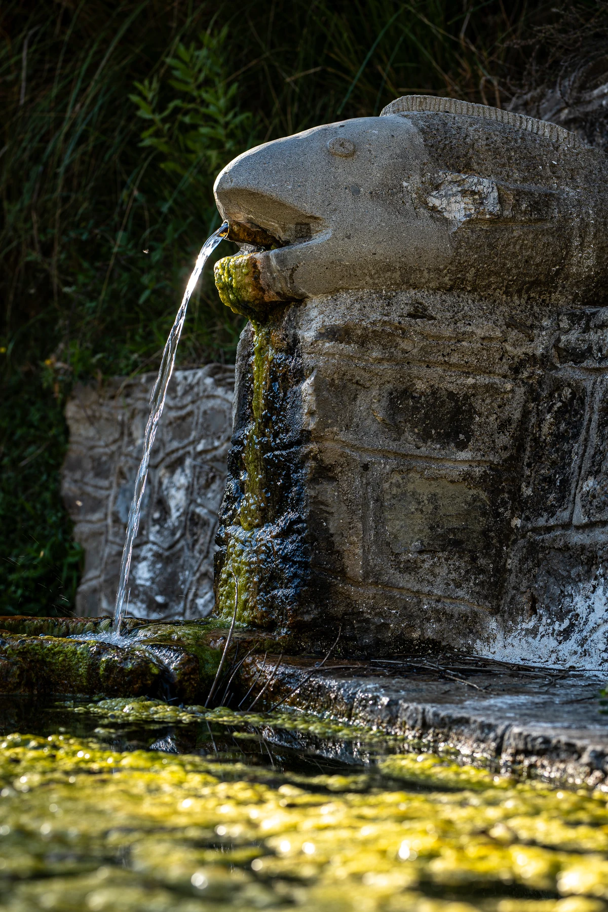 Percorso Cascate del Catafurco © Antonino Capizzi 2025
