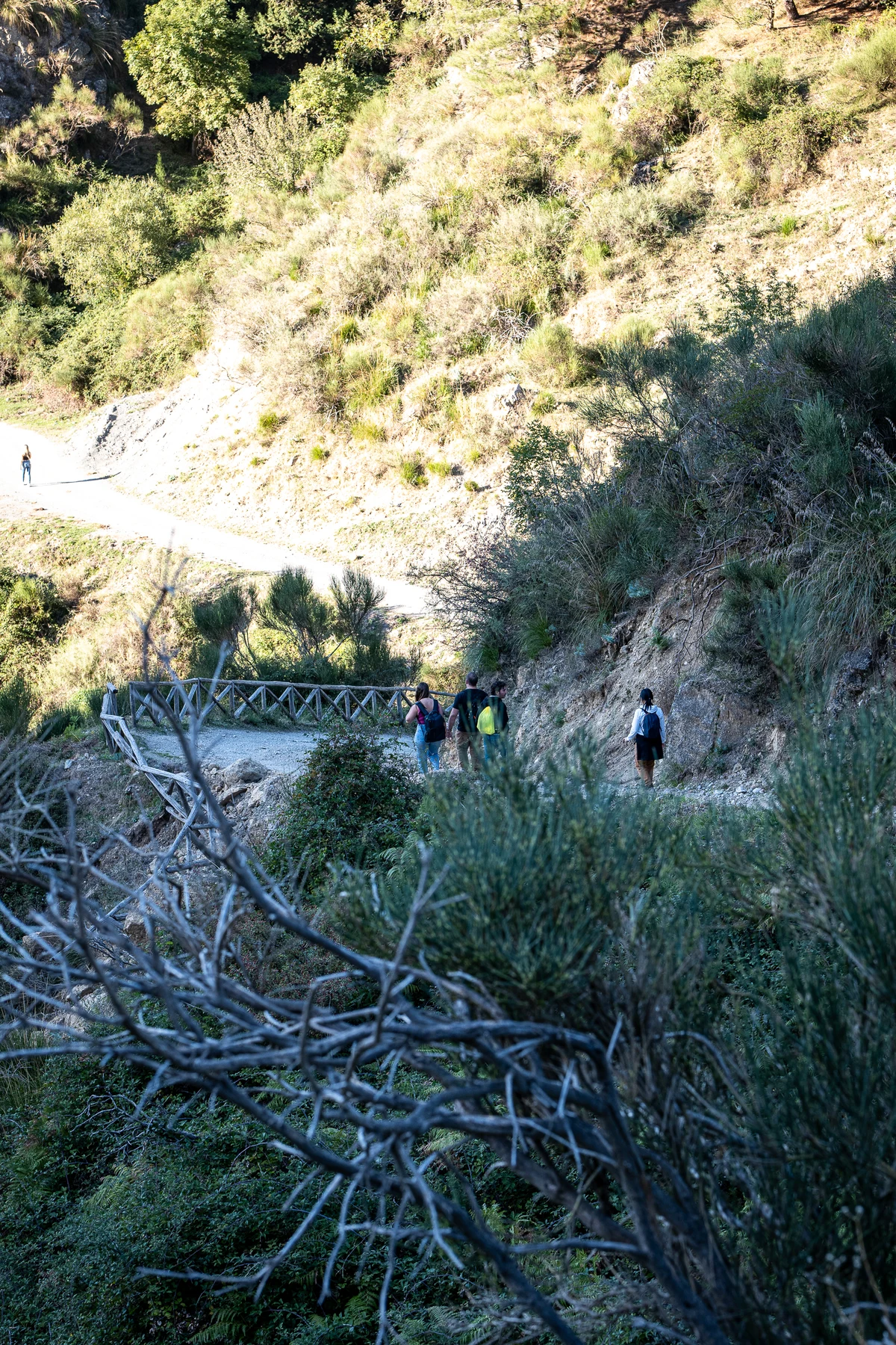 percorso Cascate del Catafurco Galati Mamertino © Antonino Capizzi 2025