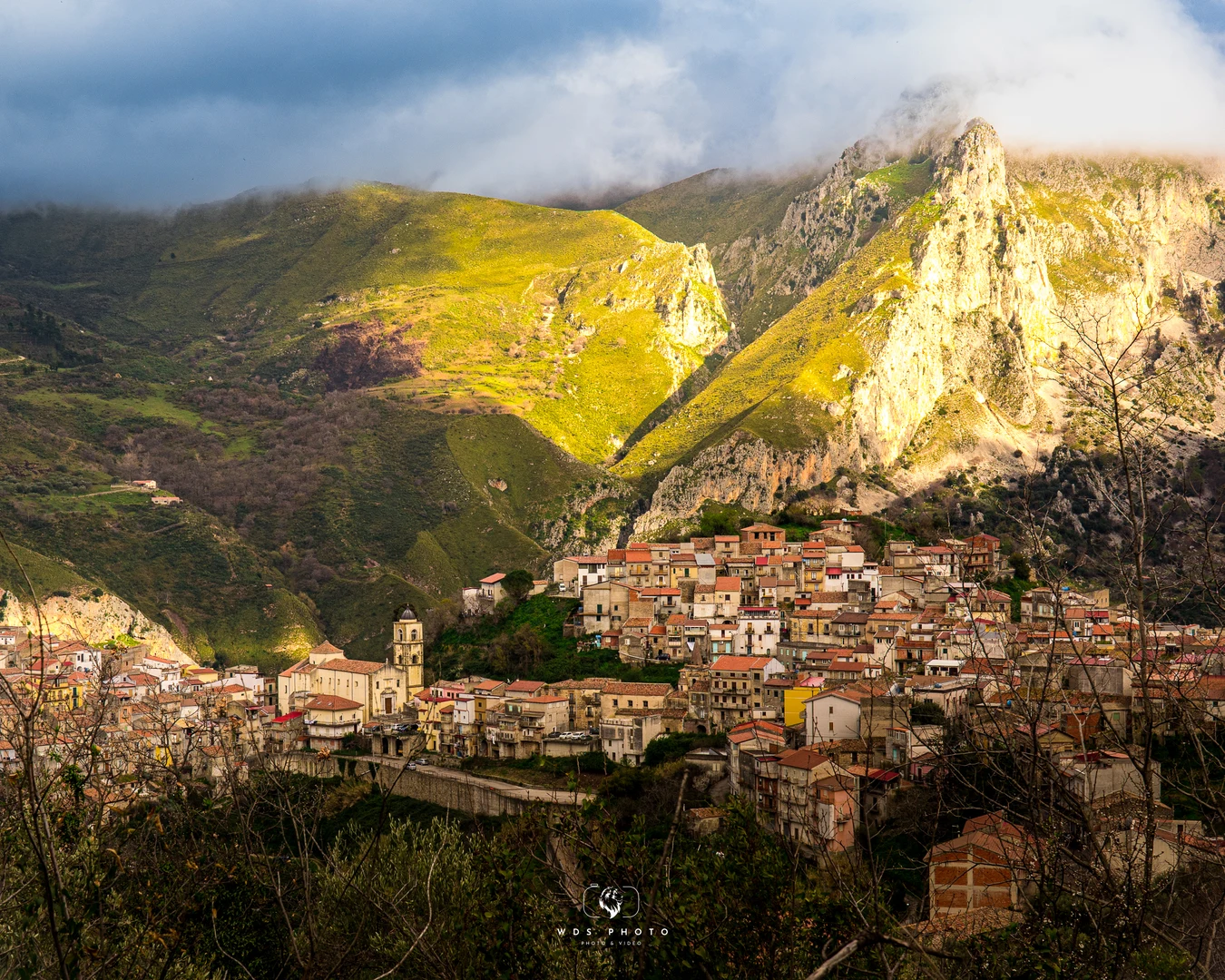 MILITELLO ROSMARINO © ANTONINO CAPIZZI 2025-01