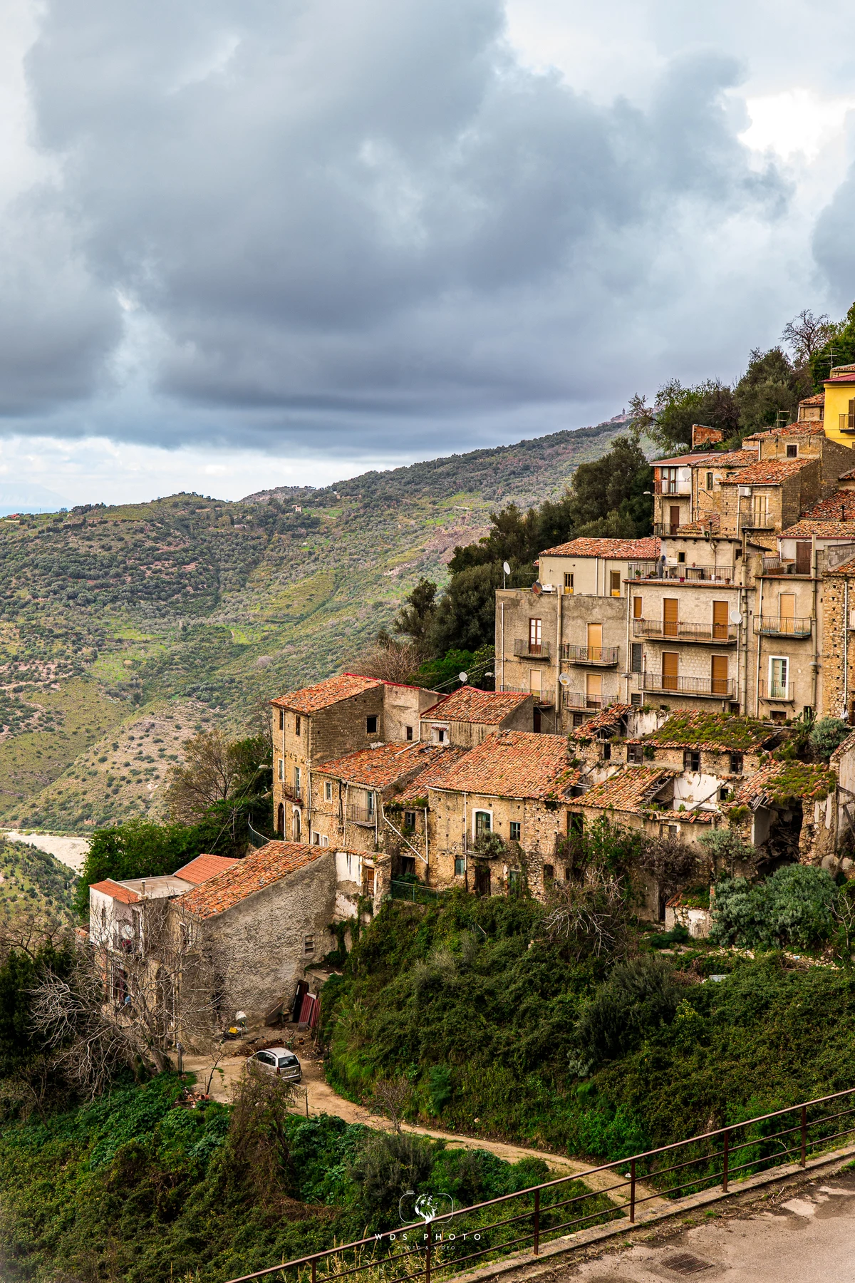 MILITELLO ROSMARINO © ANTONINO CAPIZZI 2025-02