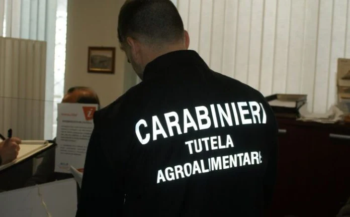 Fondi agricoli UE, maxi operazione dei Carabinieri a Mistretta, Capizzi, Nicosia e Piazza Armerina: 6 arresti e sequestri per 900mila euro
