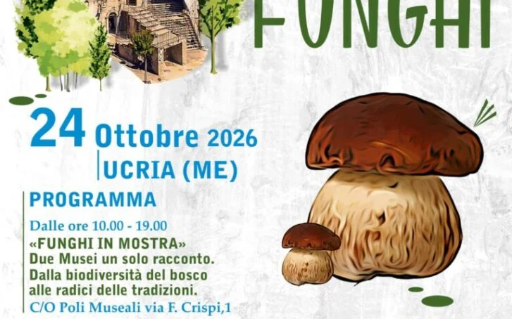 Ucria – Sabato 24 ottobre la 29a Mostra e Sagra dei Funghi