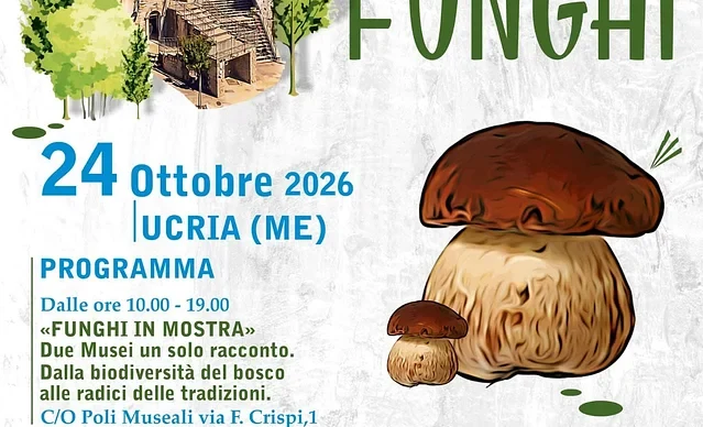 29^ mostra & sagra dei funghi ad Ucria — Ucria