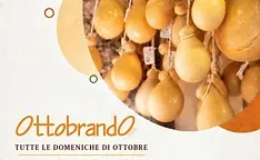 Fotografia di Discovery Sicilia