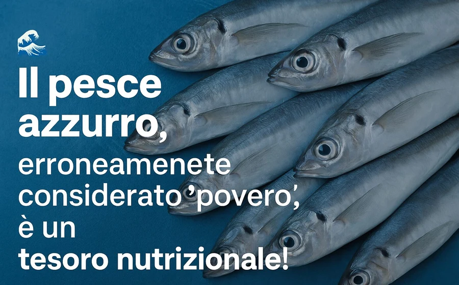 Il Pesce Azzurro: il vero tesoro nutrizionale del Mediterraneo