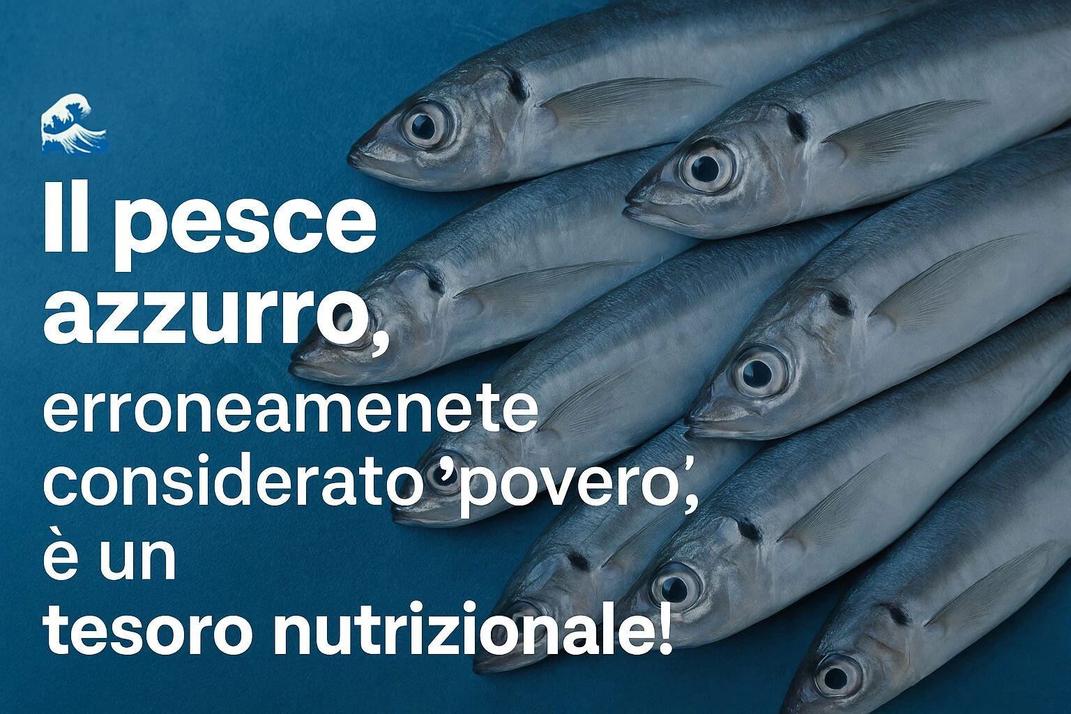 Il Pesce Azzurro: il vero tesoro nutrizionale del Mediterraneo